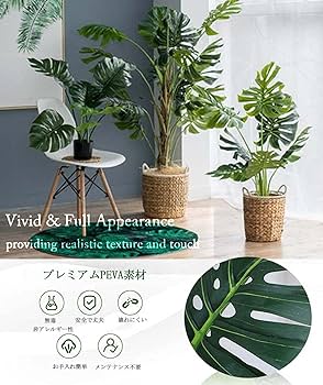 Amazon｜YYY@ 人工観葉植物 モンステラ フェイクグリーン 光触媒